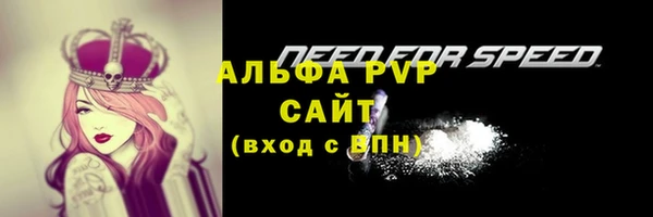 СК Арсеньев